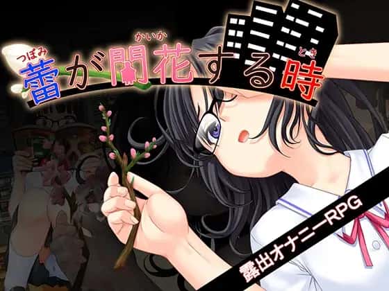 花蕾绽放之时|官方中文|官方攻略全息投影